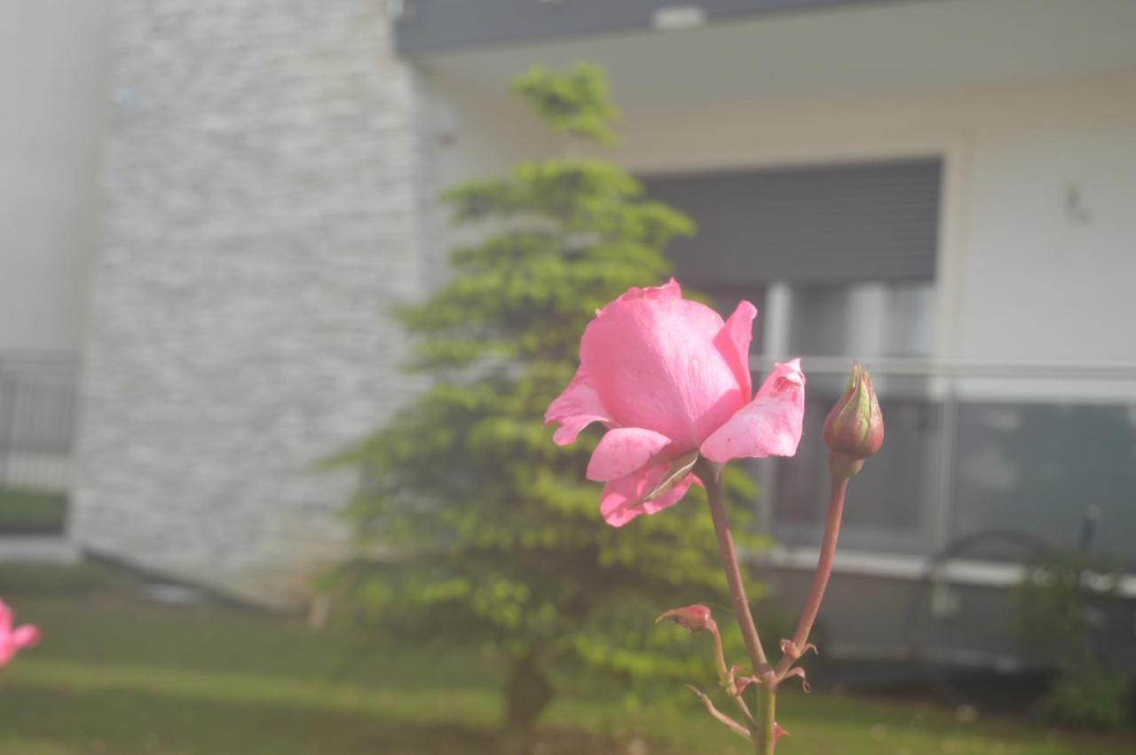 B&B La Rosa Dei Venti อัลตามูรา ภายนอก รูปภาพ